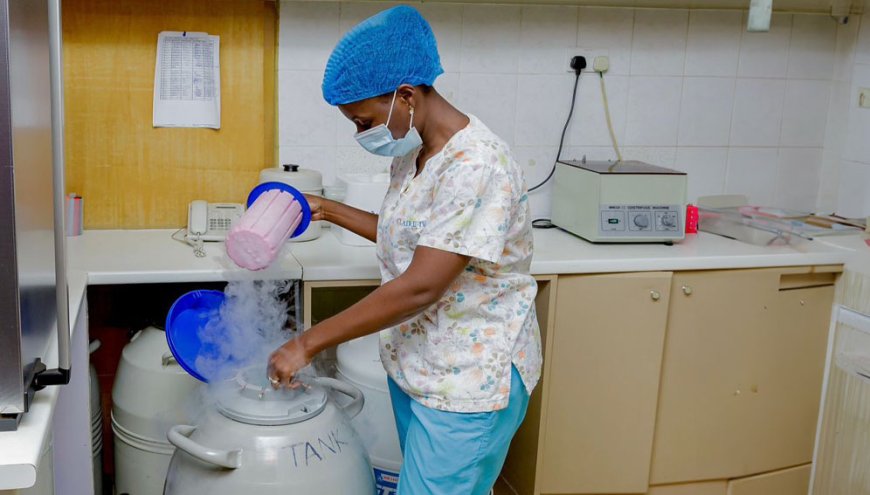 L’industrie africaine des donneurs de sperme « manque de garanties vitales »