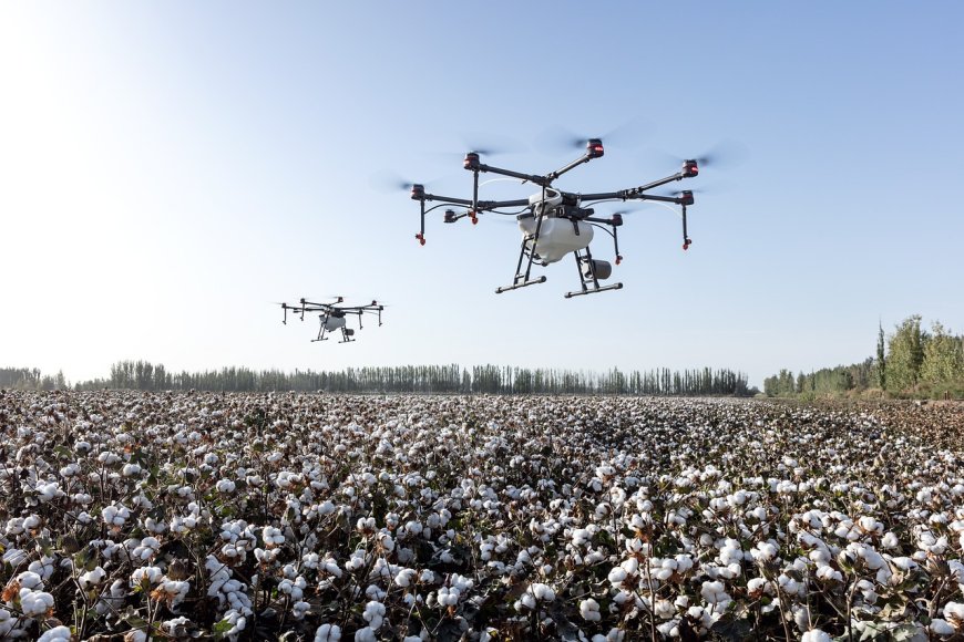 Agriculture : quand l’utilisation de l’intelligence artificielle aide à l’amélioration de la production agricole