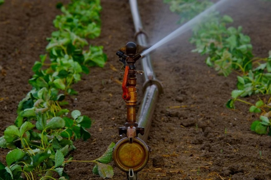 Agriculture : le gouvernement malien adopte la phase II du Programme National d’Irrigation de Proximité