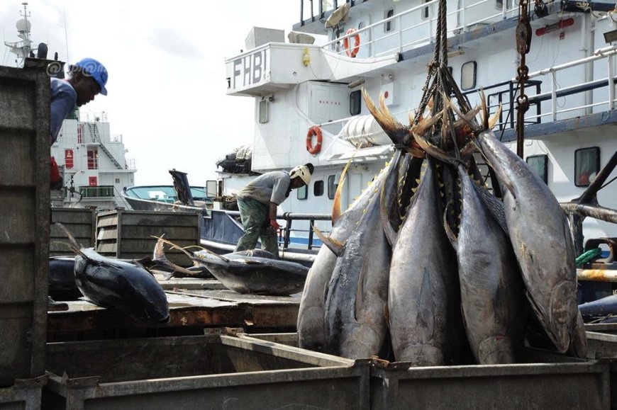 Aquaculture : le Forum de la finance aquacole réfléchit sur le thème « Panorama, défis et opportunités du financement de l’aquaculture » en septembre à Abidjan