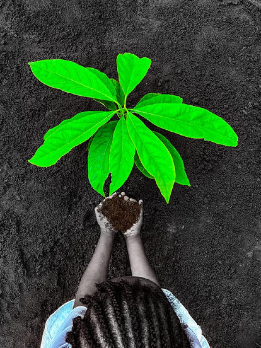 Côte d’Ivoire : un dialogue national pour financer la biodiversité et préserver le patrimoine naturel