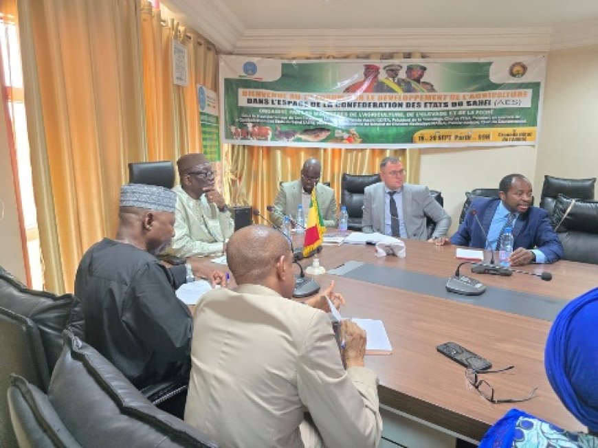 Coopération Mali–Biélorussie : la société minière MTZ Holding propose des solutions innovantes pour l’agriculture