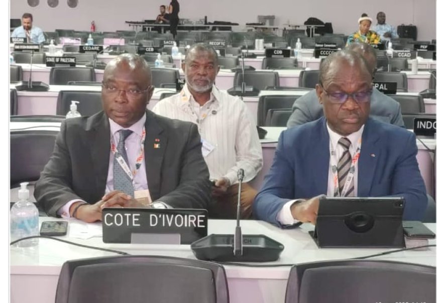 COP30 : la Côte d'Ivoire s'engage vers 46,3 % d'énergies renouvelables dans son mix énergétique