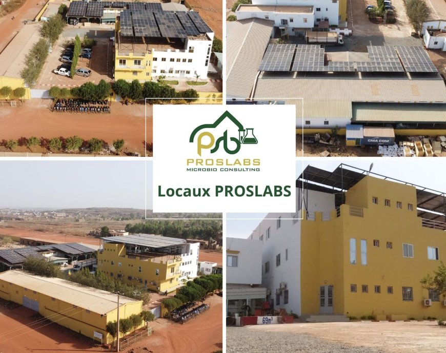 PROSLABS : le Laboratoire de Référence d’analyses minéralogiques pour l’Industrie minière au Mali