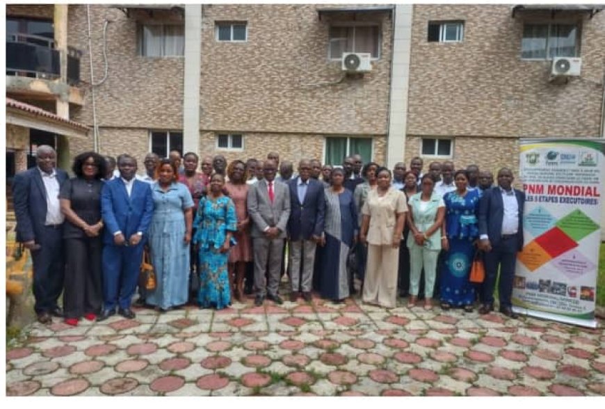 Côte d’Ivoire : le plan national de lutte contre les polluants organiques adopté