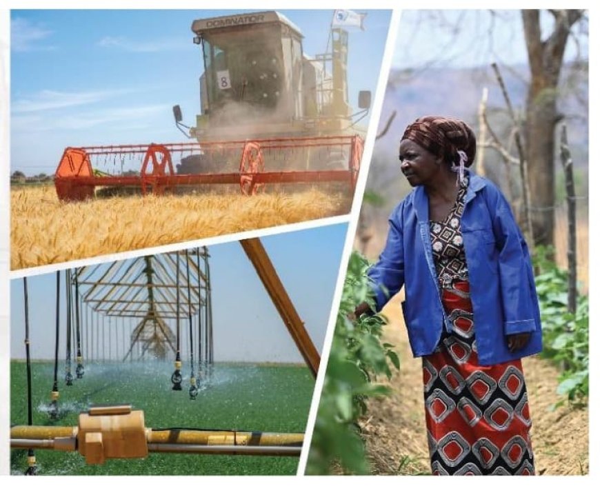 Changements climatiques : la Banque mondiale exhorte l’Afrique à adopter une agriculture climato-intelligente