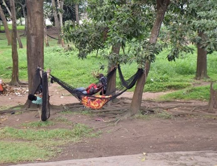 Côte d'Ivoire-Environnement : Abidjan face au défi de la restauration écologique de ses jardins publics