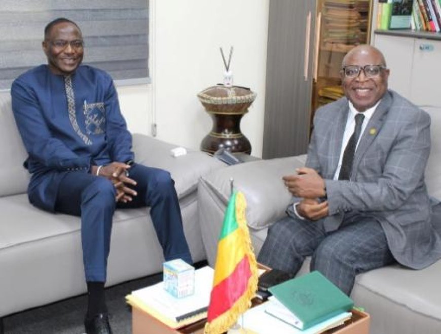Mali : le ministre Pr Bouréma Kansaye reçoit le Représentant résident du PNUD en fin de mission à Bamako