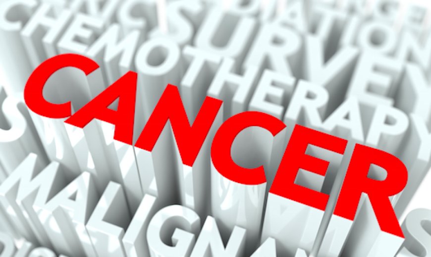 Lutte contre le cancer : le régime végétarien offre des avantages, mais ne protège pas contre tous les cancers