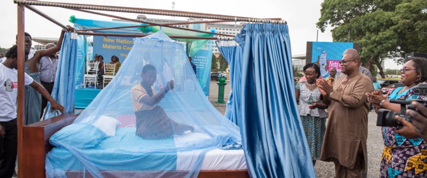 Paludisme : 579 000 personnes mortes en Afrique, la Chine s’engage à aider le continent pour l’éradication de la maladie