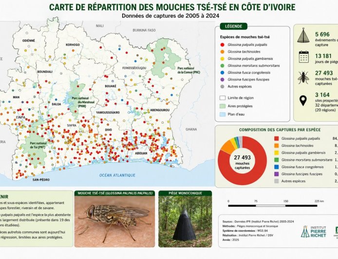 Maladie du sommeil : voici où se cachent encore les mouches tsé-tsé en Côte d'Ivoire