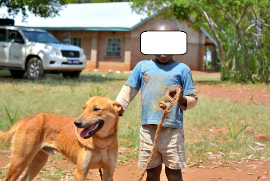 Côte d’Ivoire : les enfants restent parmi les principales victimes de la rage(étude)